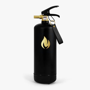 Fire Extinguishers 2 kg - Black Gold