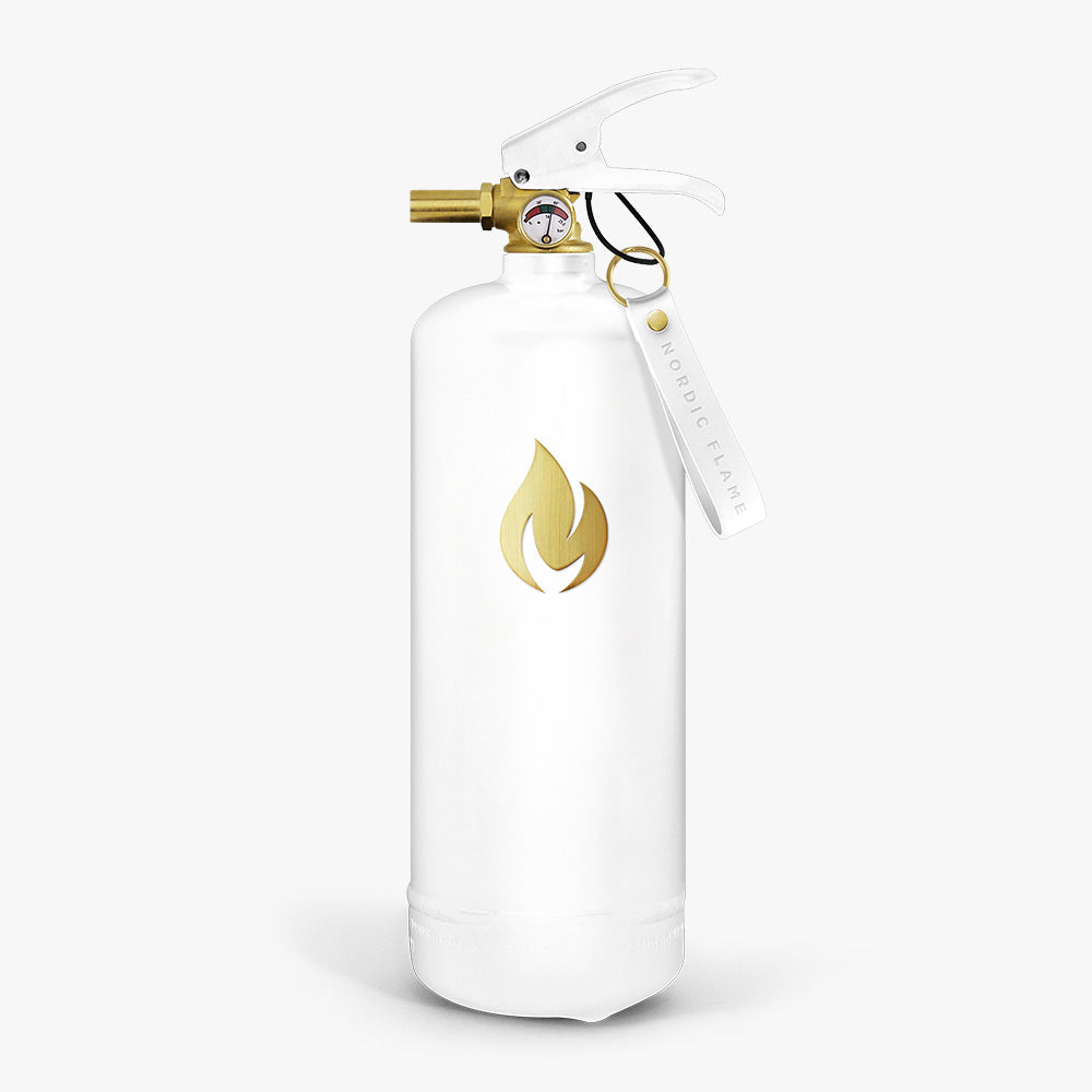 Fire Extinguishers 2 kg - White Gold