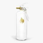 Load image into Gallery viewer, Fire Extinguishers 2 kg - White Gold

