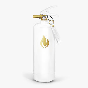 Fire Extinguishers 2 kg - White Gold